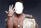 WWE Champion John Cena